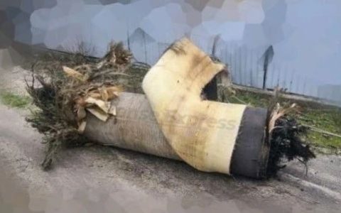 俄军第二种高超音速导弹被击落！？