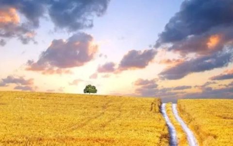 今天，这些隐藏的事实，全部说清