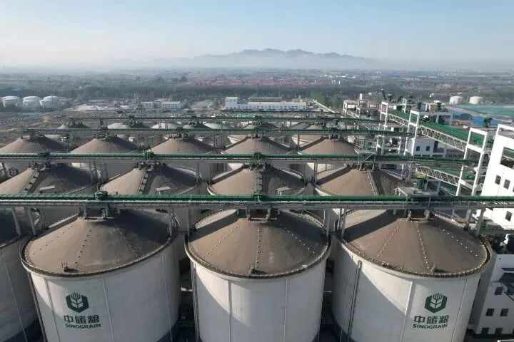 国家粮库近1000万公斤玉米被盗卖，够400万人吃5天！