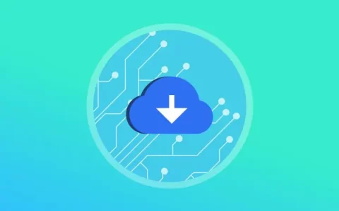 付费会员下载专区（新增2024超热门高清电影合集）