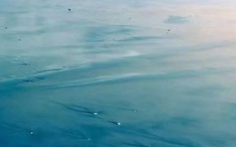 金融战，人家不会给我们缓太久