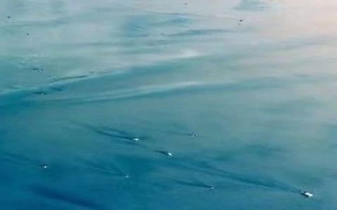 中国人怎么不行啊？