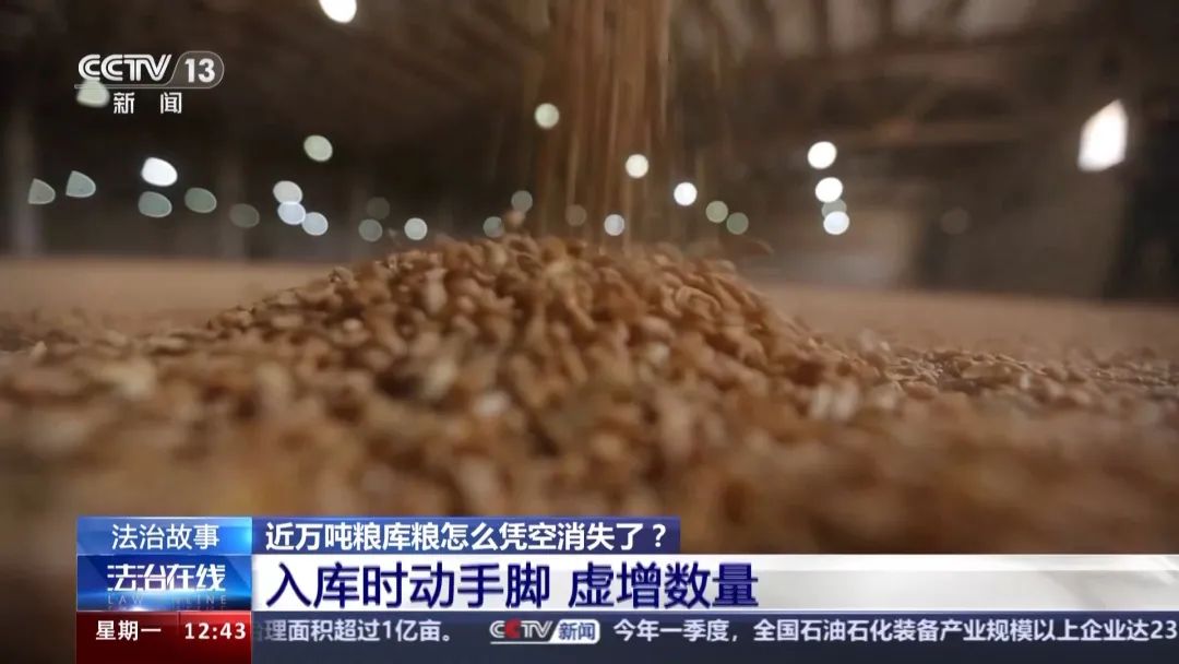 国家粮库近1000万公斤玉米被盗卖，够400万人吃5天！