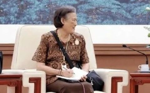 诗琳通公主的挎包，它们一个字也不提