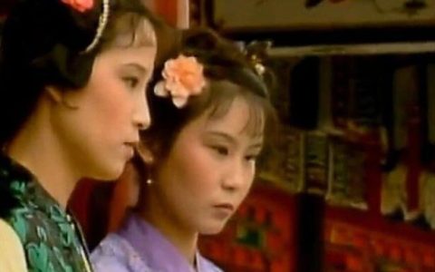 怡红院，甚至整部红楼梦，最讨厌的丫鬟，没有之一