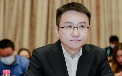 “80后”亿万富豪、斗鱼CEO陈少杰，已取保候审！知名女主播被曝涉案被捕，多名头部主播仍停播