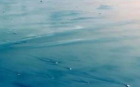 等待压死骆驼的最后一根稻草