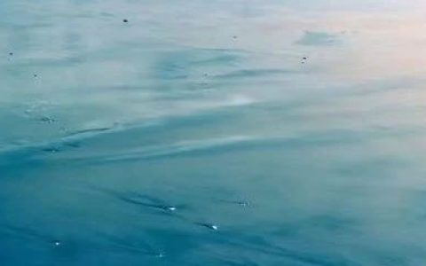 非我族类，其心必异