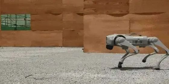 国产机器狗什么时候可以军用？