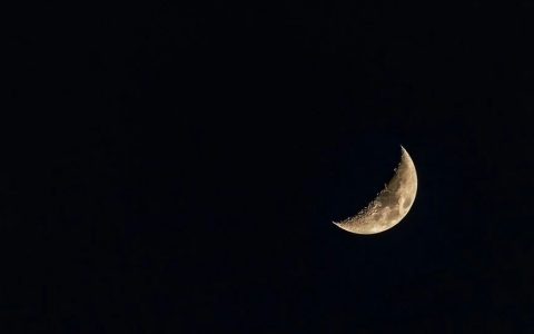 要赶紧保护沙特