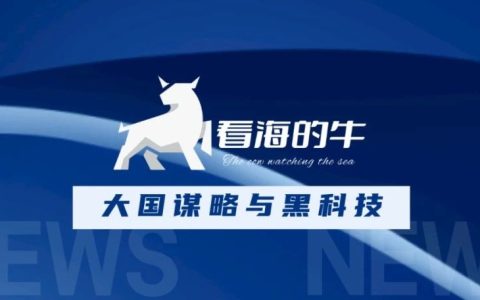 大国谋略：吹沙造岛的布局