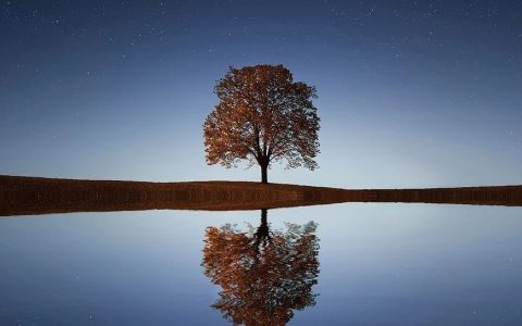 以色列为什么做得这么绝