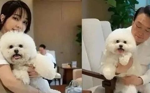 “国格崩塌了”？现任总统被捕