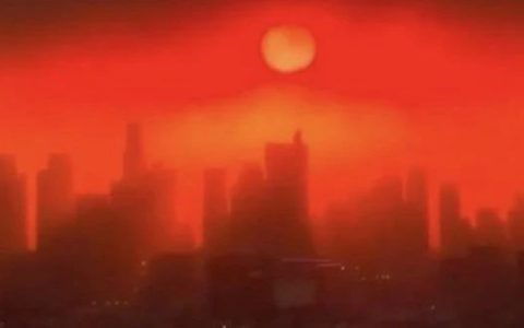 加州大火，是人性的扭曲，还是道德的沦丧？