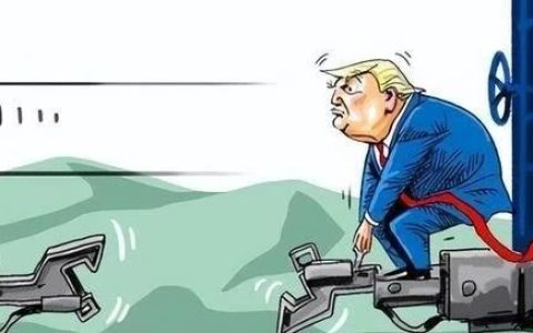 熊猫，白头鹰在博弈中管理世界！