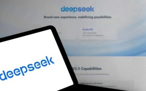 开年最大黑马，DeepSeek凭什么打爆美国科技圈？