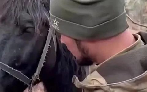 战马重上前线，俄军企图重返赫尔松！