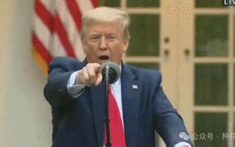 面对大俄，川普终于无能狂怒了！