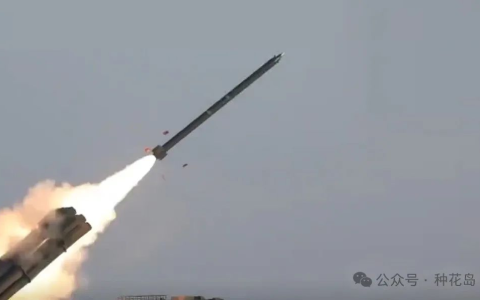 大陆新利器，收拾台独很有效！