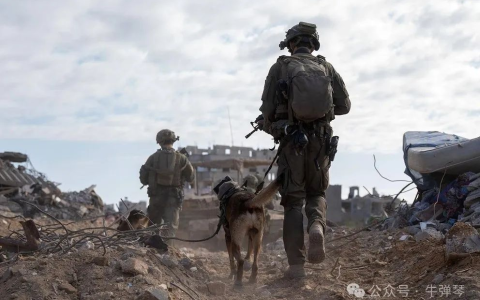 没有对比，就没有伤害