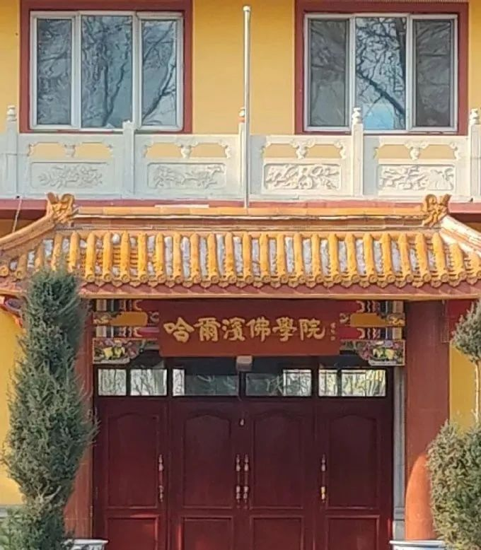 炮轰哈佛!特朗普在做功德?