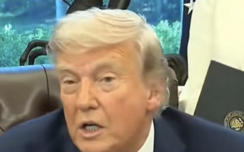 疯子不知道该怎么办了！