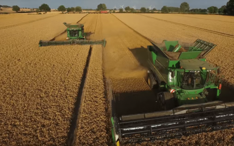 1.2万朝军赴俄“血战”，换回了什么？