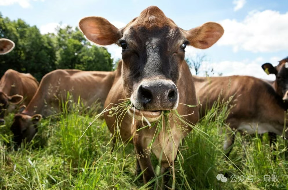 网络去中心化结构对门阀势力的冲击