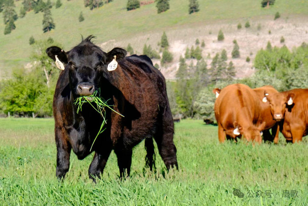 网络去中心化结构对门阀势力的冲击