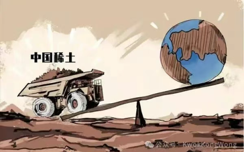 自卫反击战:稀土大战