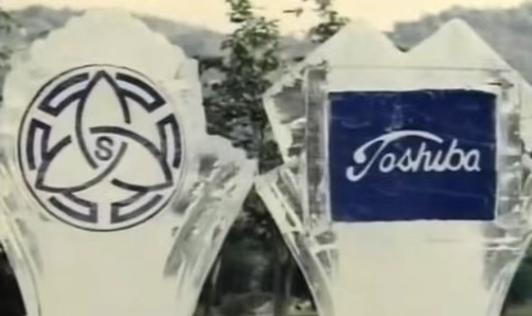 中国面板，走上牌桌的二十年