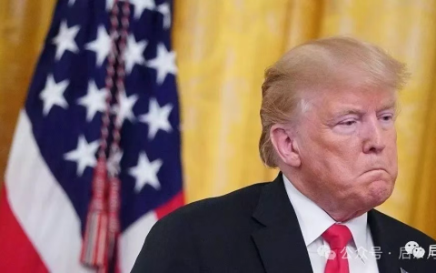 沙特给足特朗普面子：千亿美元军火大单！