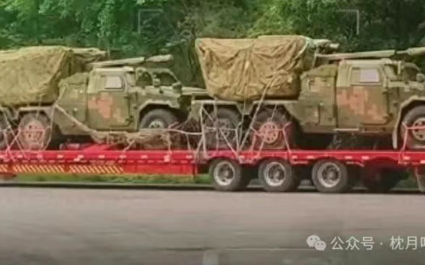 无人机别想跑！解放军SWS3+FB-10A，末端防空组队来了