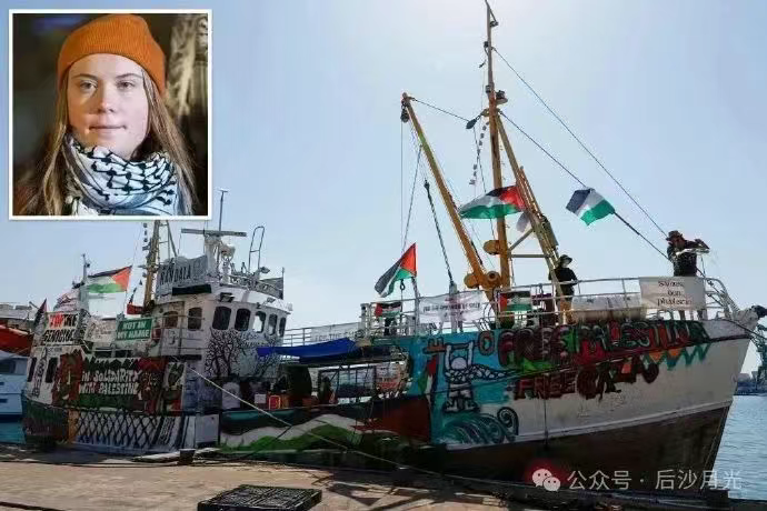 刮目相看！瑞典环保少女勇闯加沙