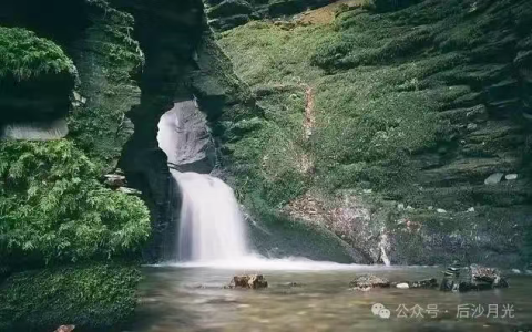 英国朋友谈特朗普被吕特叫“爸爸”