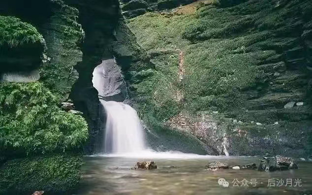 英国朋友谈特朗普被吕特叫“爸爸”