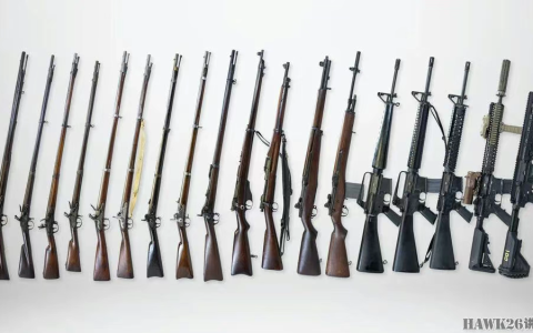 美国海军陆战队成立250周年 使用过的所有制式步枪 战斗力的核心