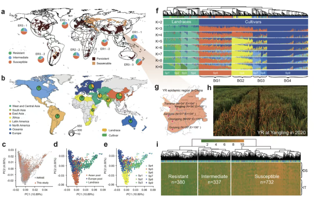 全球首次!这次突破有多强?老外看了心拔凉!