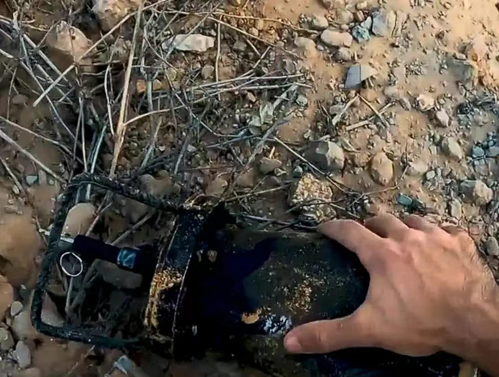 这不是“神剧”!而是现实……