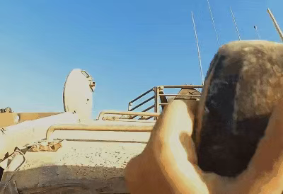 这不是“神剧”!而是现实……