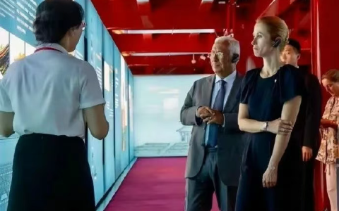 两张图里的欧盟：司晨的“牝鸡”只配挨巴掌