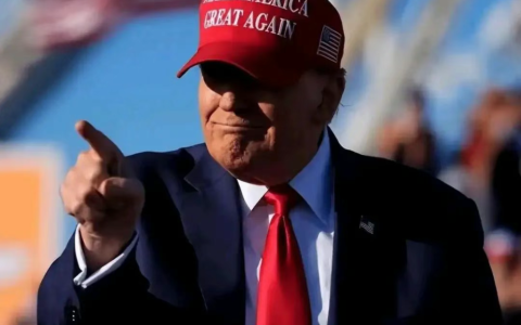 什么是“大而美”法案？