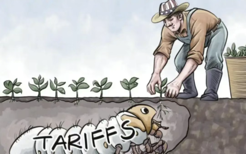 美国4月份种下的大豆，10月份要收获了