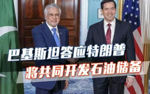 博弈核心倾斜，交火线从中东向南亚东移！