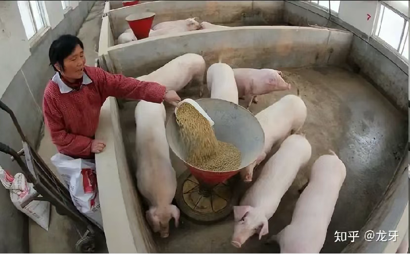 为什么中国能在短短30多年时间，成为世界第一工业大国？