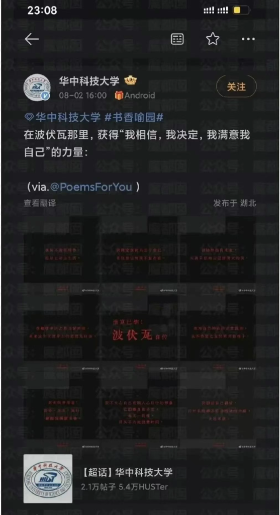 别睡了!有人偷家!