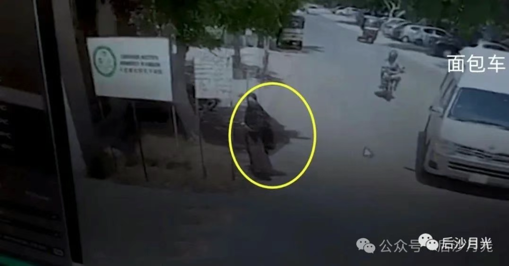 美国插了印度精准一刀!巴基斯坦迎来“反恐窗口期”