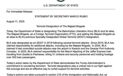 美国插了印度精准一刀！巴基斯坦迎来“反恐窗口期”