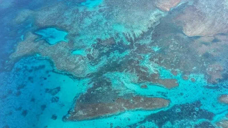 两个重大喜讯:大国博弈关键时刻,中国炼出“降魔”大法宝!