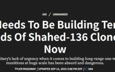 就这还要对付中国？美国从嘲笑菜鹅、理解菜鹅到羡慕菜鹅——因为学不了！